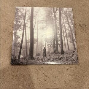 Taylor swift folklore vinyl